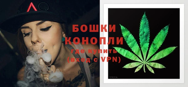 Альфа ПВП Пестово