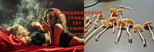 гидропоника Абинск