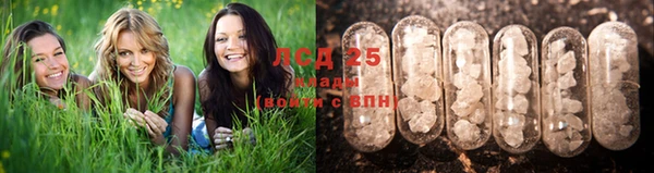 гидропоника Абинск
